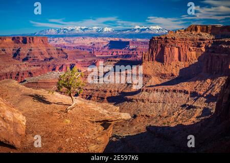 Canyonlands Nationalpark ist ein US-Nationalpark befindet sich im Südosten von Utah in der Nähe der Stadt Moab. Stockfoto