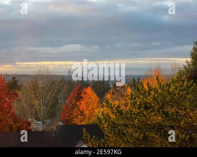 Blick auf die Skyline von Seattle bei Sonnenuntergang an einem bewölkten Tag. Stockfoto