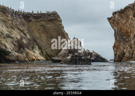Felsklippen und Vogelschar Stockfoto