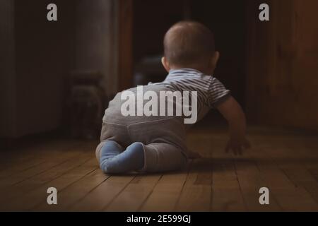 Kleiner lustiger kleiner Junge, der lernt, auf Holzboden zu kriechen. Selektiver Fokus. Rückansicht. Familienleben. Stockfoto