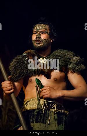 Vertikale Nahaufnahme eines tätowierten Maori-Kriegers in traditioneller Kleidung mit seinen angestammten Waffen bei Nacht, Mitai Maori Village, Rotorua, Neuseeland Stockfoto