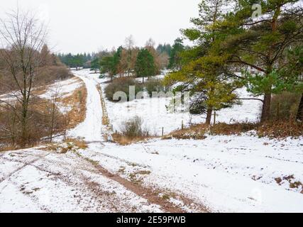 Ein schneebedeckter Weg führt durch ein Waldtal Stockfoto