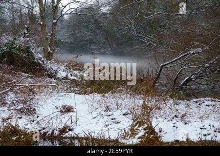 Nebel bedeckten Teich im Winter mit Schnee bedeckt Vordergrund und Flussufer Stockfoto