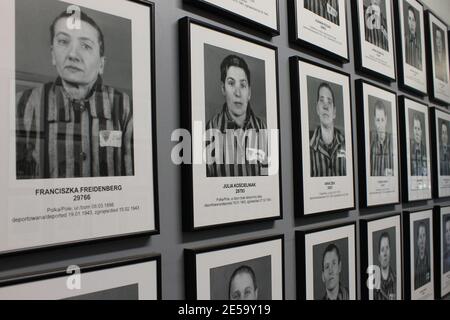 Häftlingsporträts in der Gedenkstätte Auschwitz-Birkenau (Polen) Stockfoto
