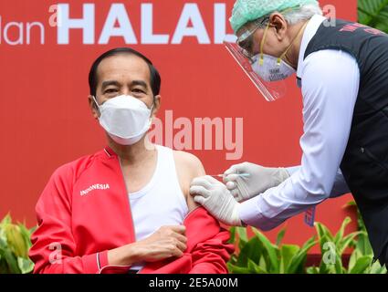 (210127) -- JAKARTA, 27. Januar 2021 (Xinhua) -- der indonesische Präsident Joko Widodo (L) erhält seine zweite Injektion des von Chinas biopharmazeutischem Unternehmen Sinovac Biotech entwickelten Impfstoffs COVID-19 im Präsidentenpalast in Jakarta, Indonesien, 27. Januar 2021. Jokowi erhielt seinen ersten Schuss des Impfstoffes COVID-19 am 13. Januar. (Muchlis Jr/Presidential Press Bureau/Handout via Xinhua) Stockfoto