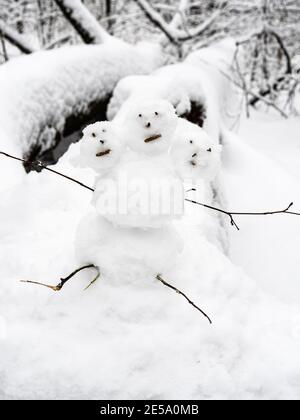 Kleiner dreiköpfiger Schneemann auf schneebedecktem umgestürztem Baum im Stadtpark An bewölktem Wintertag Stockfoto