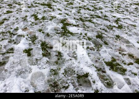 Eisige Fußabdrücke in teilweise geschmolzenem Schnee während eines Tauwetters, mit Eis und Slush auf Gras, Surrey, Südostengland, im Winter Stockfoto