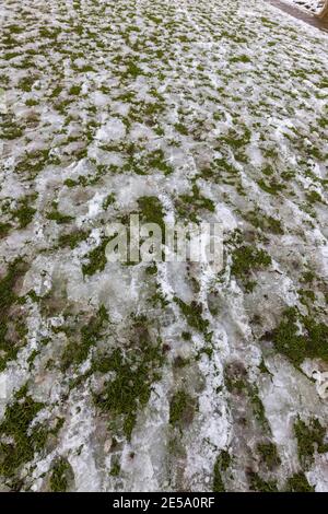 Eisige Fußabdrücke in teilweise geschmolzenem Schnee während eines Tauwetters, mit Eis und Slush auf Gras, Surrey, Südostengland, im Winter Stockfoto