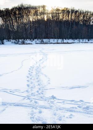 Wanderwege auf schneebedeckten gefrorenen Fluss im Stadtpark im Winter Dämmerung Stockfoto
