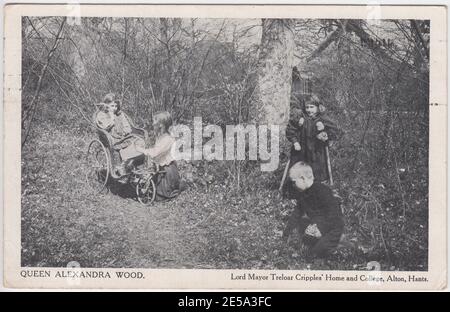 Lord Mayor Treloar Cripples' Home & College, Alton, Hampshire: Kinder in Queen Alexandra Wood, Anfang des 20. Jahrhunderts, darunter ein Kind mit Krücken und ein anderes im Rollstuhl Stockfoto