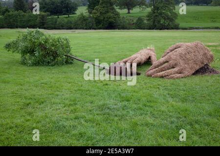 Zwei riesige Heuhände Pflanzen eine Eiche hinter den Kulissen, RHS Chatsworth 2017, Show Garden Stockfoto