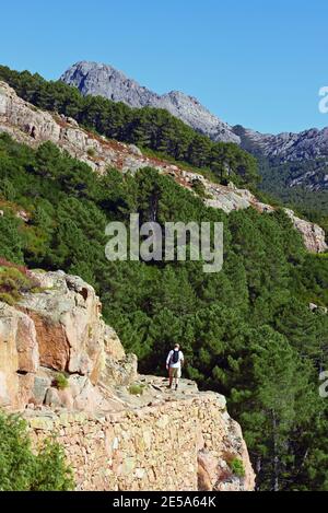 Wanderweg in der Calanche de Piana, Frankreich, Korsika, Piana Stockfoto