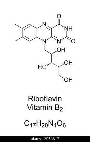 Riboflavin, Vitamin B2, chemische Struktur und Skelettformel. Ein Vitamin, das in Lebensmitteln enthalten ist und als Nahrungsergänzungsmittel verwendet wird. Stockfoto