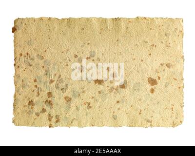 Recyceltes cremefarbenes, graues Vintage-Papier mit horizontaler Note und Rosenblättern. Stockfoto