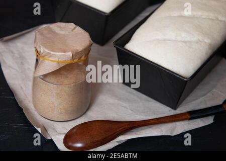 Roggen Sauerteig für Brot ist aktiv. Starter Sauerteig. Das Konzept einer gesunden Ernährung. Stockfoto