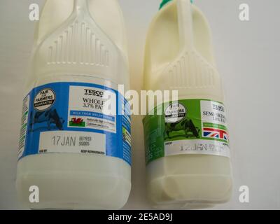 Flaschen Tesco Vollfett und halb Magermilch Welsh Milch gegeben Eine Garantie für Landwirte Stockfoto