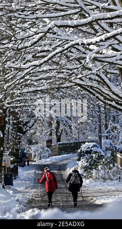 Chemnitz, Deutschland. Januar 2021. Kinderwagen wandern durch die verschneite Landschaft des Rabenstwaldes. Der Winter hat weite Teile Sachsens weiterhin fest im Griff. Quelle: Hendrik Schmidt/dpa-Zentralbild/ZB/dpa/Alamy Live News Stockfoto