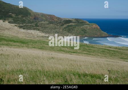 Landschaft in Sandfly Bay. Sandfly Bay Wildlife Refuge. Otago-Halbinsel. Otago. Südinsel. Neuseeland. Stockfoto