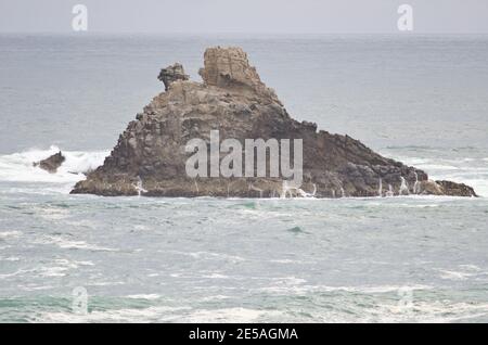 Lion's Head Rock in Sandfly Bay. Sandfly Bay Wildlife Refuge. Otago-Halbinsel. Otago. Südinsel. Neuseeland. Stockfoto
