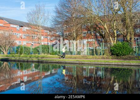 Mann, der an der Birmingham Canal Old Line durch Ladywood in der Nähe des Stadtzentrums läuft Stockfoto