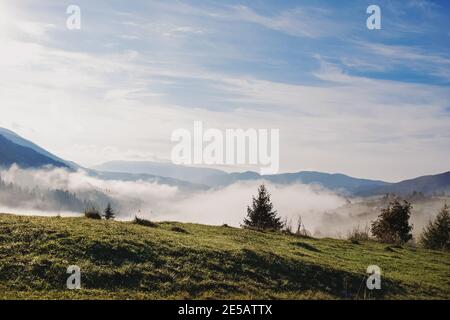 Schöner früher Morgen in den Bergen. Stockfoto
