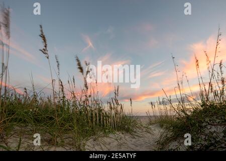 Sonnenuntergang erzeugt Zuckerwatte Himmel über den Sanddünen am Atlantic Beach, North Carolina. Seeoats wiegen in der Brise entlang des Pfades, der zum führt Stockfoto