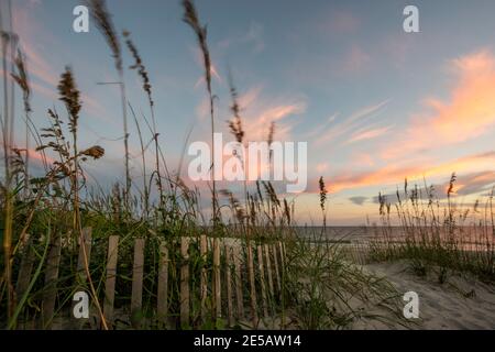 Sonnenuntergang erzeugt Zuckerwatte Himmel über den Sanddünen am Atlantic Beach, North Carolina. Seeoats wiegen in der Brise entlang des Pfades, der zum führt Stockfoto