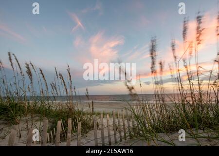 Sonnenuntergang erzeugt Zuckerwatte Himmel über den Sanddünen am Atlantic Beach, North Carolina. Seeoats wiegen in der Brise entlang des Pfades, der zum führt Stockfoto