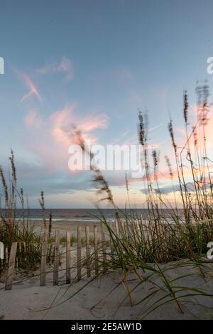 Sonnenuntergang erzeugt Zuckerwatte Himmel über den Sanddünen am Atlantic Beach, North Carolina. Seeoats wiegen in der Brise entlang des Pfades, der zum führt Stockfoto