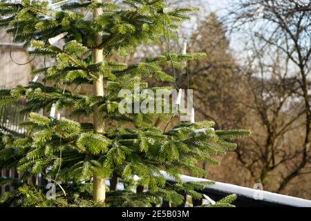 Selektiver Fokus eines Weihnachtsbaums mit Lichtern auf einem Balkon Stockfoto