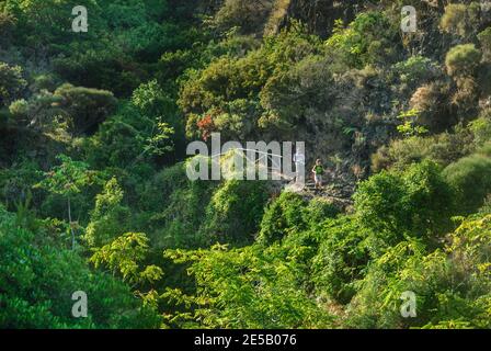 Abenteuerurlaub auf den Äolischen Inseln - Wanderer abfahren Monte Fossa auf Salina Stockfoto