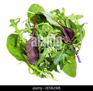 Mix aus verschiedenen kleinen jungen Salatgrün isoliert auf weiß Hintergrund Stockfoto