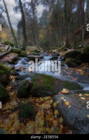 Paisaje otoñal del Abedular de Canencia Stockfoto