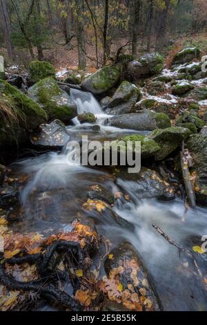 Paisaje otoñal del Abedular de Canencia Stockfoto