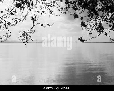 Aspekt der Hängebrücke Rio-Antirrio, Griechenland, von Nafpaktos (Lepanto) aus gesehen an einem nebligen Tag Stockfoto