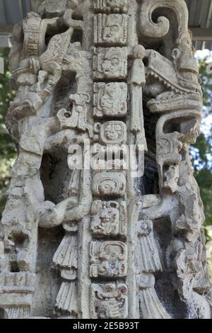 Copan, Honduras, Mittelamerika: maya-Hieroglyphen in Quirigua. Copan ist eine archäologische Stätte der Maya-Zivilisation in der Nähe von Guatemala Stockfoto