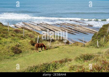 Die Flysch-Küste von Sakoneta, Zumaia im Baskenland in Spanien Stockfoto
