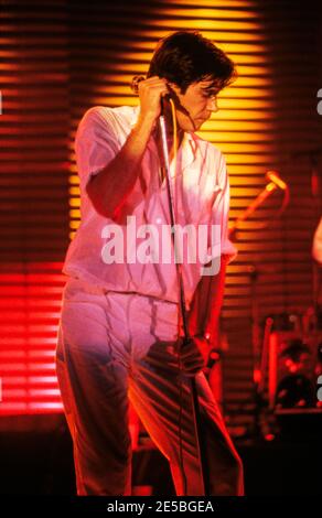 MÜNSTER, DEUTSCHLAND - 18. JUN 1980: Bryan Ferry auf der Bühne während eines Konzerts von Roxy Music in Deutschland. Stockfoto