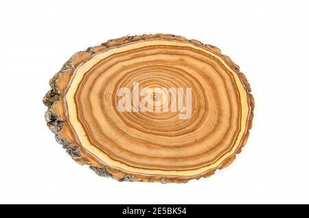 Querschnitt einer geschnittenen Holzstammscheibe mit Gewelltes Muster Risse und Ringe aus dem Wald gesägt Stockfoto