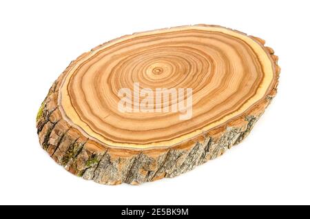 Querschnitt einer geschnittenen Holzstammscheibe mit Gewelltes Muster Risse und Ringe aus dem Wald gesägt Stockfoto