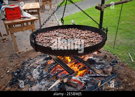 Kastanien rösten auf dem Brazier während des Herbstfestes in Abbadia San Salvatore, Toskana, Italien Stockfoto