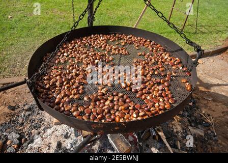 Kastanien rösten auf dem Brazier während des Herbstfestes in Abbadia San Salvatore, Toskana, Italien Stockfoto