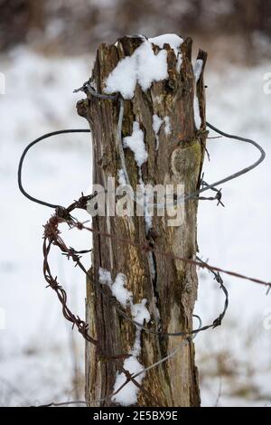 Stacheldraht umwickelt verfaulenden hölzernen Zaunpfosten im Schnee Stockfoto