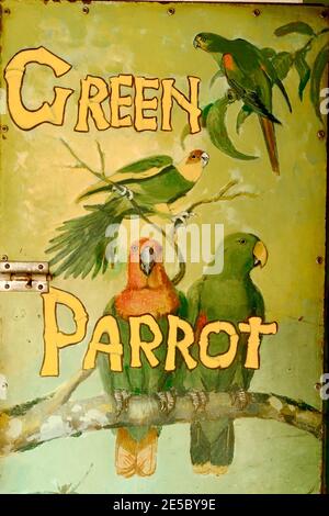 Green Parrot Bar Schild in Key West, Florida, FL USA. Südlichster Punkt in den kontinentalen USA. Insel Urlaubsziel für entspannten Tourismus. Stockfoto