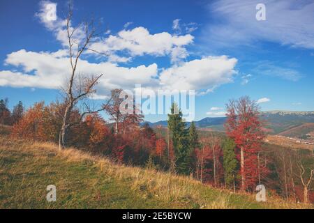 Herbst in den Bergen. Blick auf die Berge im Herbst. Schöne Naturlandschaft. Karpatengebirge. Bukovel, Ukraine Stockfoto