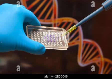 Forschung auf dem Gebiet der Genomik. DNA-Tests. Stockfoto