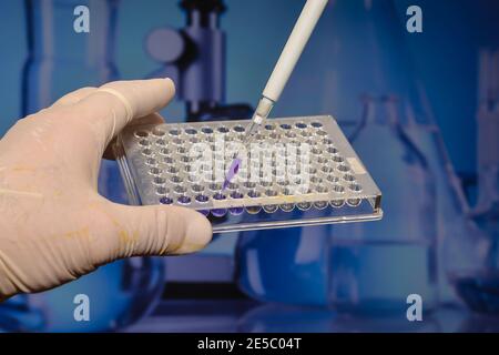 Forschung auf dem Gebiet der Genomik. DNA-Tests. Stockfoto