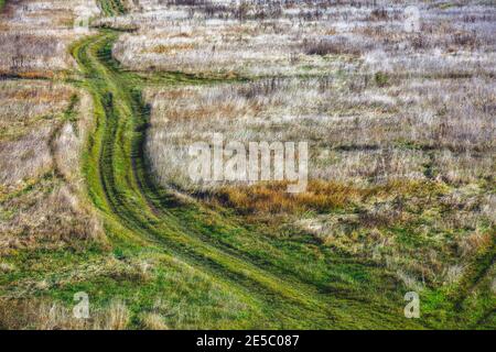 Die Straße mit grünem Gras zwischen dem Feld mit trockenen Gras im Herbst Stockfoto