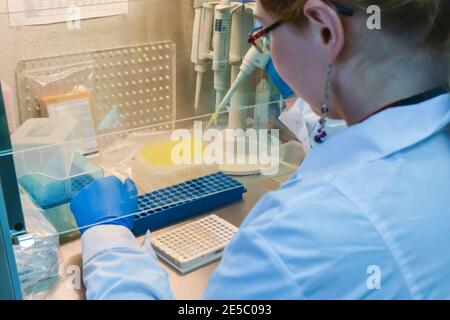 Arbeitsplatz des Labormitarbeiters. Ausrüstung für die biologische Forschung. Stockfoto