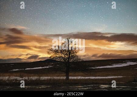 Winter Berglandschaft, Langzeitbelichtung Nachtfotografie, einsamer Baum und helle Sterne über ihnen Stockfoto